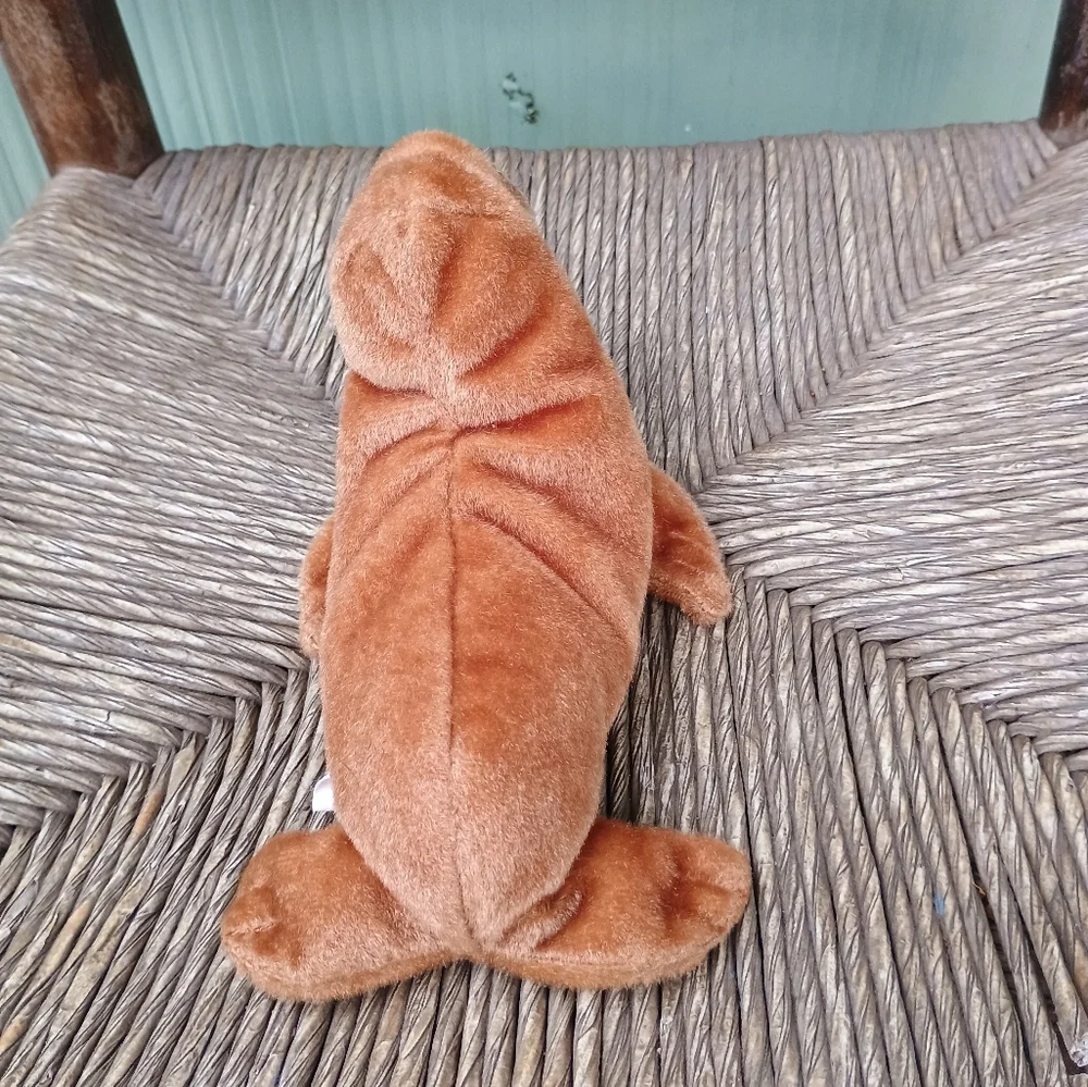 Paul the Walrus 1999 Vintage TY Beanie Babies 6in No Tag - Picture 4 of 7